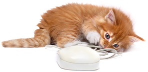 strony internetowe Rzeszow pozycjonowanie optymalizacja seo podkarpackie projektowanie stron www strony internetowe Rzeszow pozycjonowanie optymalizacja seo podkarpackie projektowanie stron www